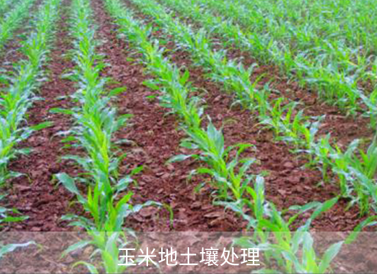 唑嘧磺草胺 唑嘧磺草胺